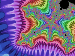 A portion of the Mandelbrot set