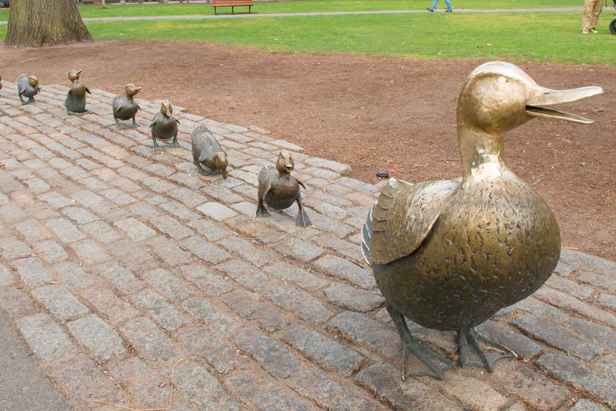 The bronze sculpture of the ducks in the Public Garden