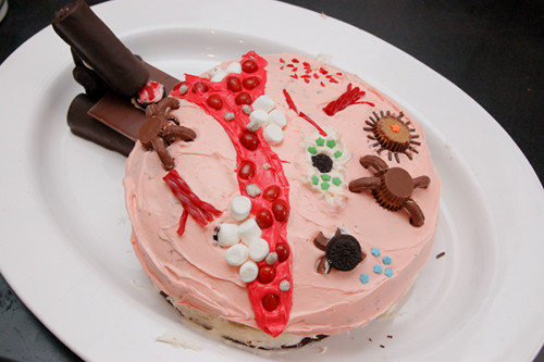 Microbe cake